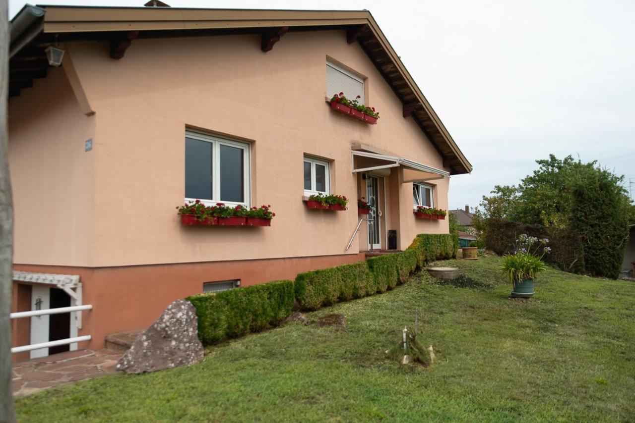 Gite Au Coeur De L'Alsace Maison Gatsby Staffelfelden Екстериор снимка