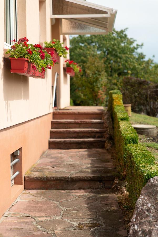 Gite Au Coeur De L'Alsace Maison Gatsby Staffelfelden Екстериор снимка